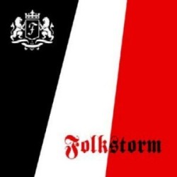 Folkstorm - Folkmusik [CD]