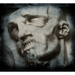 Megaptera - Beyond The Massive Darkness [2CD]