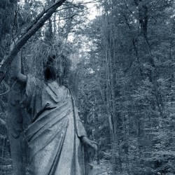 Sophia - Herbstwerk [CD]