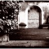 The Suspended Apparition - It's Sealed Inside The Church |CD]
